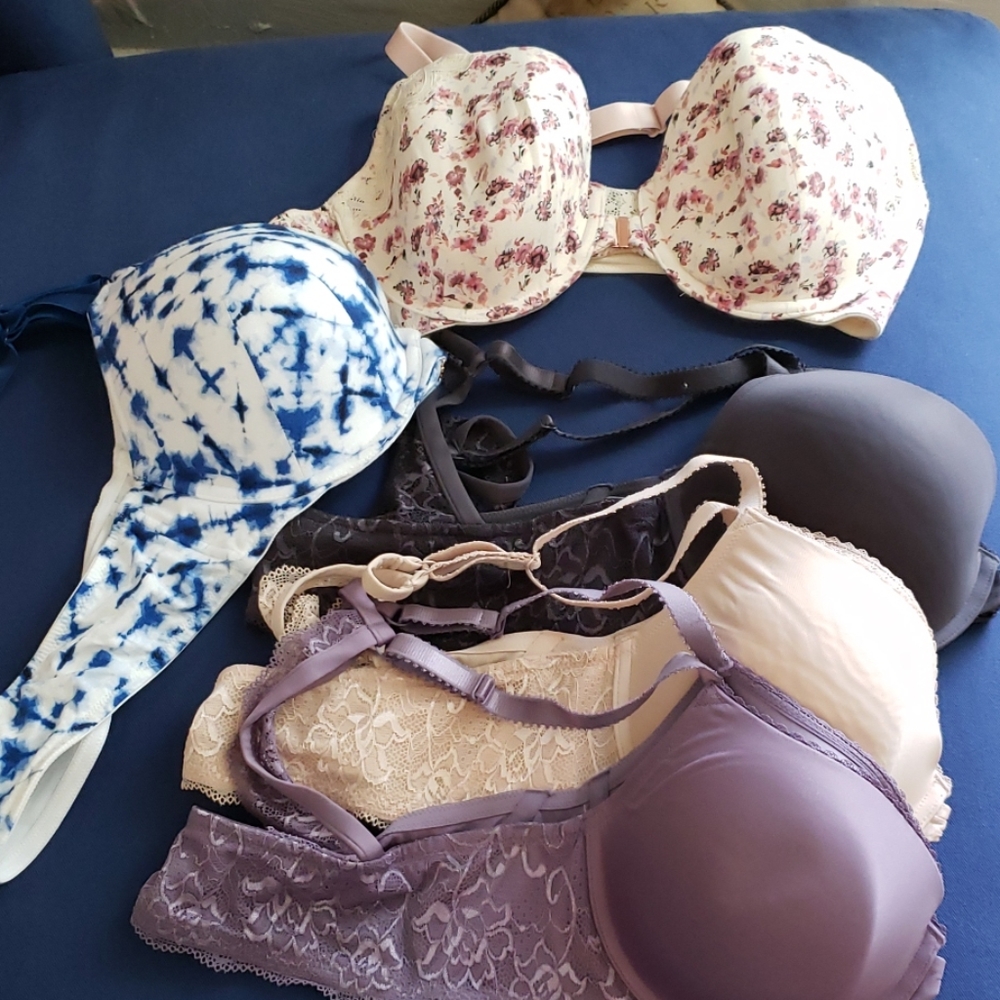 Torrid/Cacique bra lot